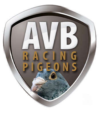 André van Boxtel Racing Pigeons Logo
